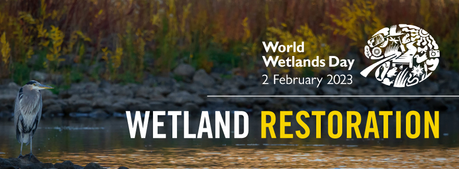 Wetlands day email header