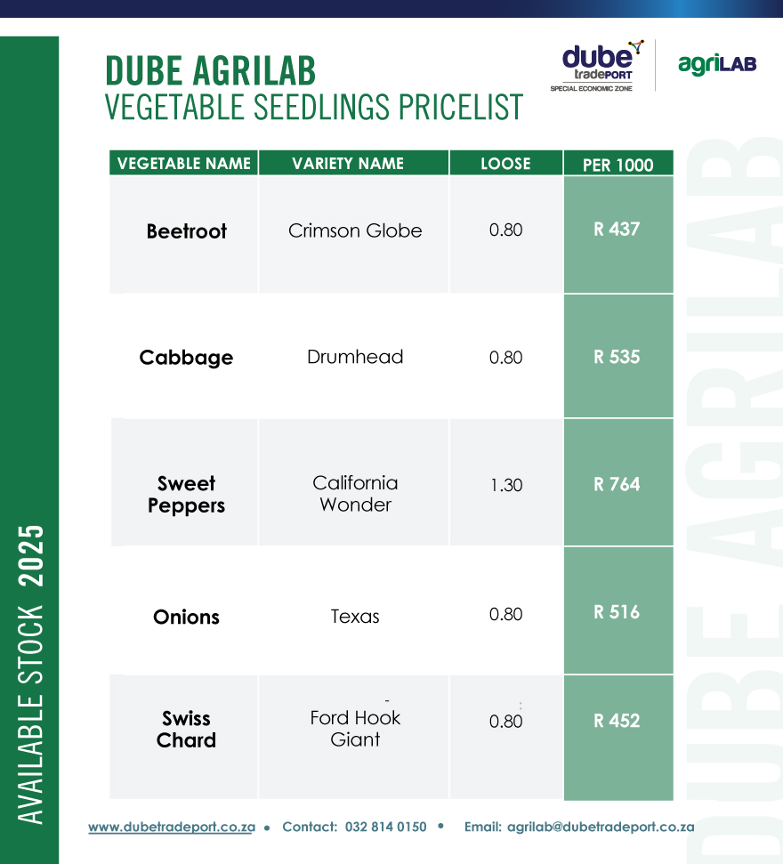 Dube AgriLab pricelist Vegetable seedlings
